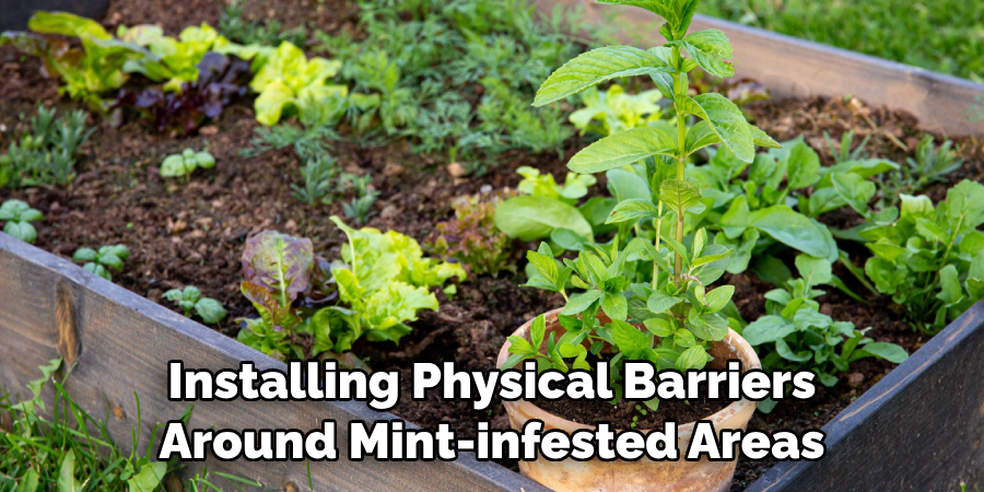  Installing Physical Barriers Around Mint-infested Areas