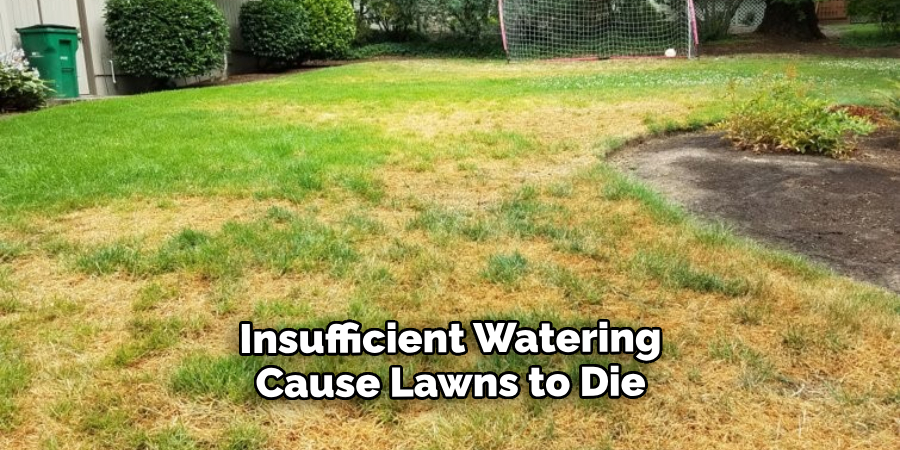  Insufficient Watering Cause Lawns to Die