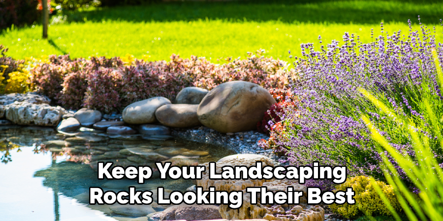 Keep Your Landscaping Rocks Looking Their Best