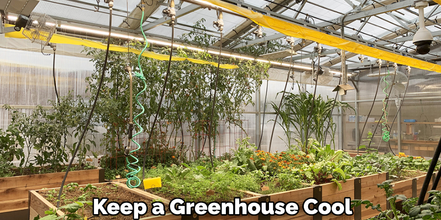 Keep a Greenhouse Cool