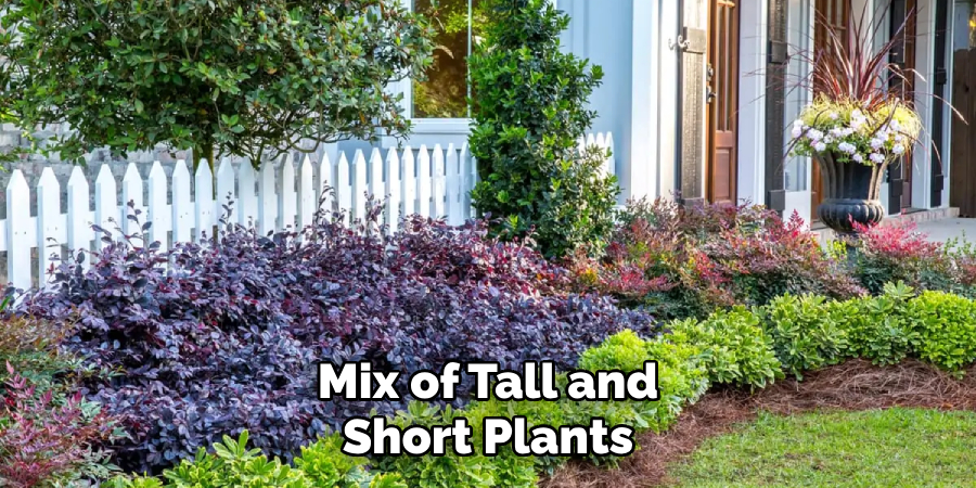 Mix of Tall and Short Plants