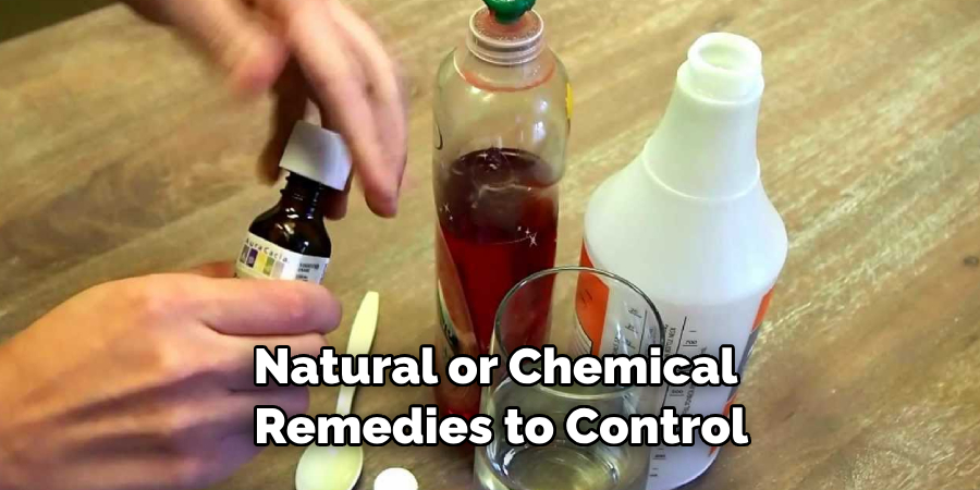 Natural or Chemical Remedies to Control
