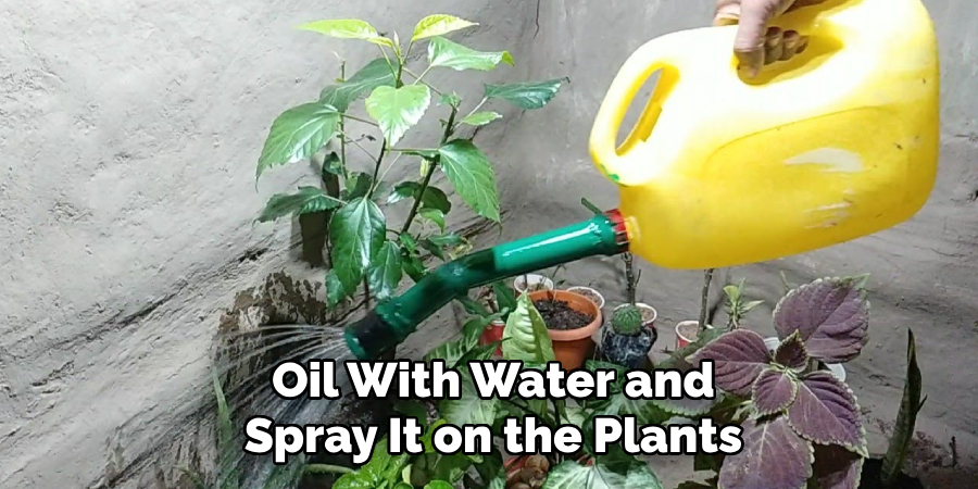 Oil With Water and Spray It on the Plants