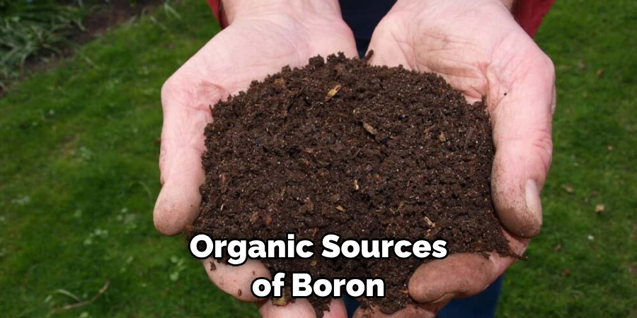 Organic Sources of Boron 