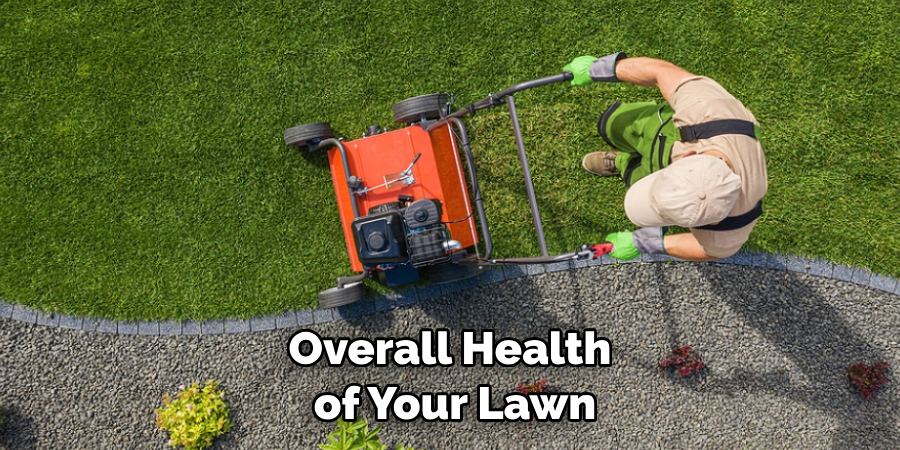 Overall Health of Your Lawn
