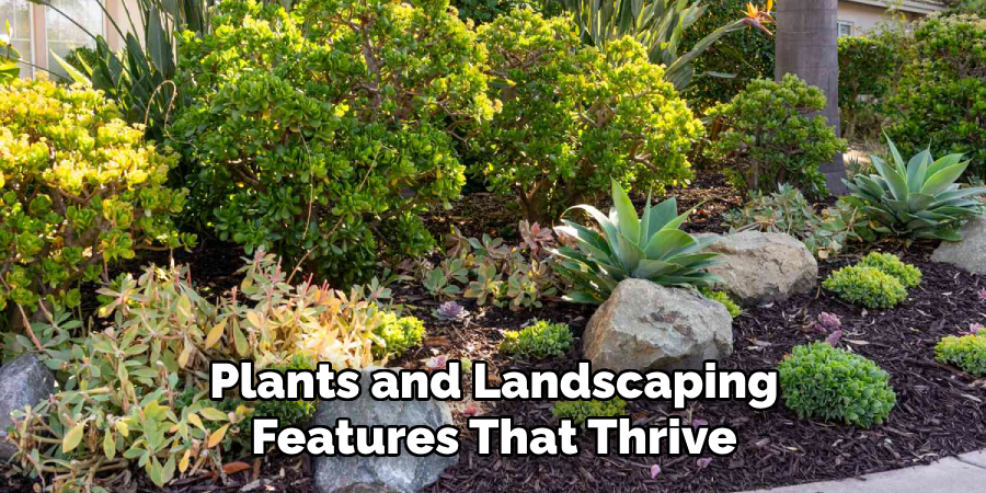 Plants and Landscaping Features That Thrive