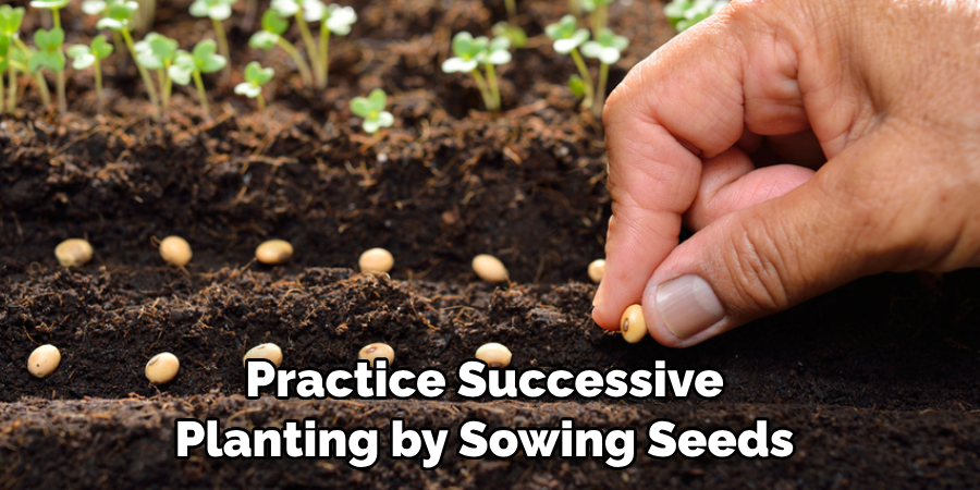 Practice Successive Planting by Sowing Seeds 