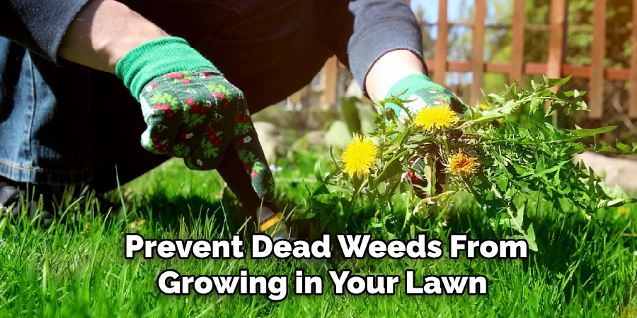  Prevent Dead Weeds From Growing in Your Lawn