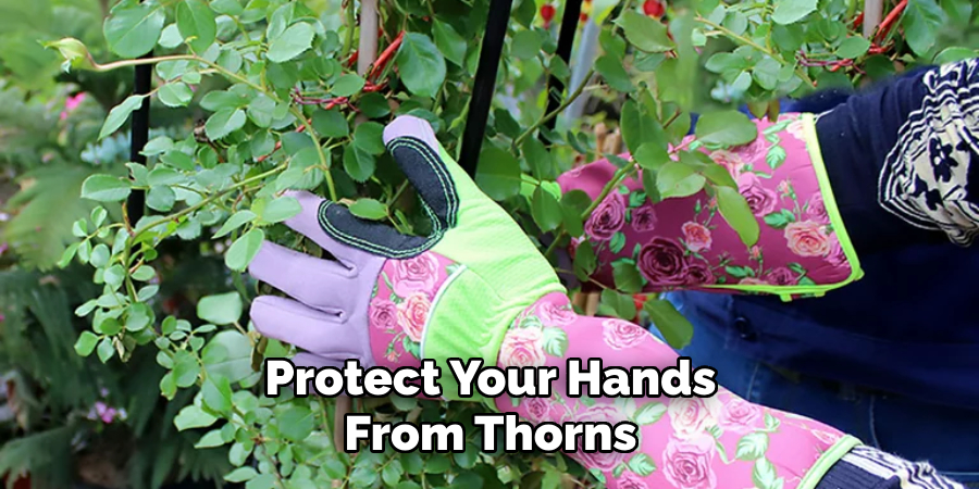 Protect Your Hands From Thorns
