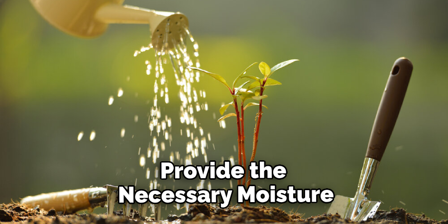 Provide the Necessary Moisture