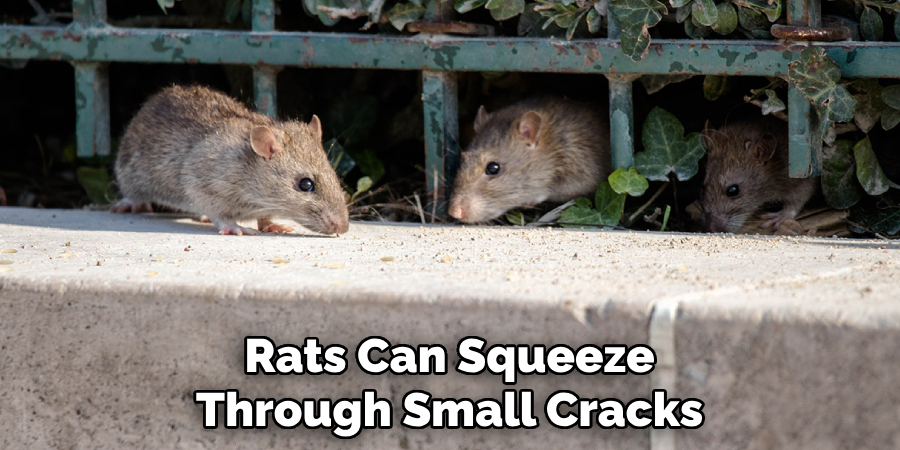 Rats Can Squeeze Through Small Cracks