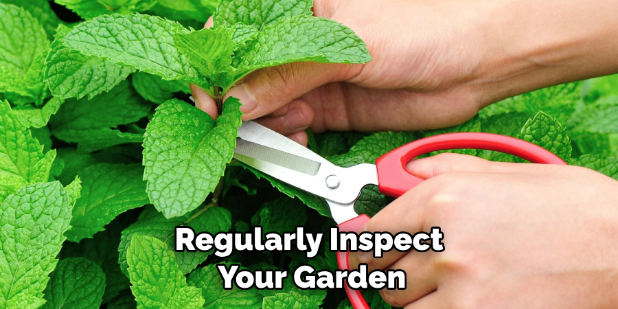 Regularly Inspect Your Garden