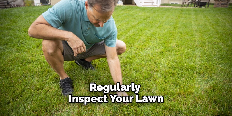 Regularly Inspect Your Lawn