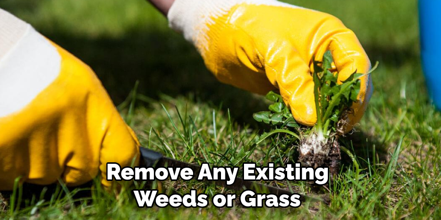Remove Any Existing Weeds or Grass 