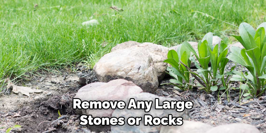  Remove Any Large Stones or Rocks 