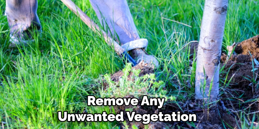 Remove Any Unwanted Vegetation