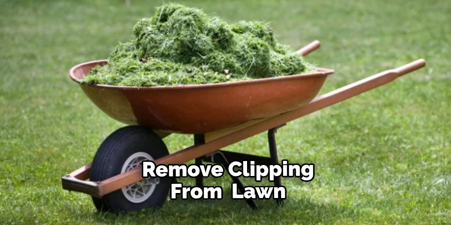  Remove Dead Leaves Clipping From Your Lawn