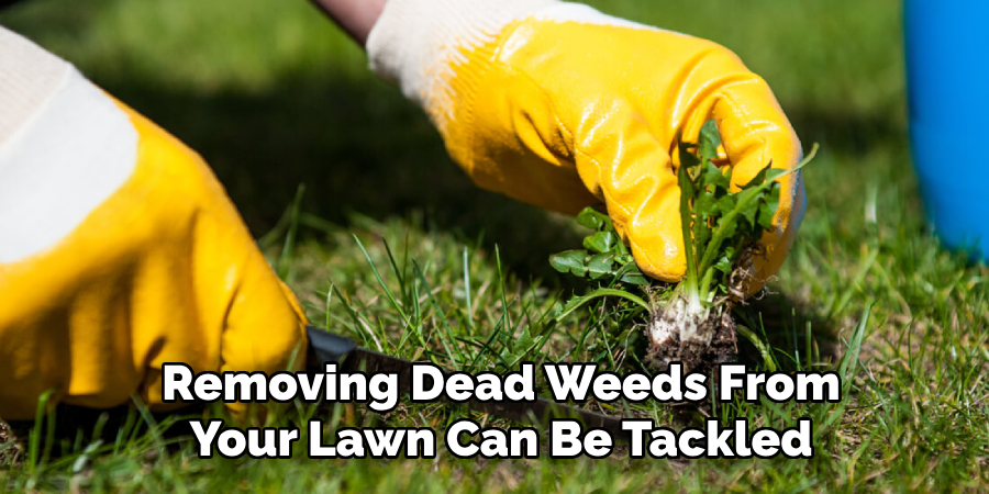 Removing Dead Weeds From Your Lawn Can Be Tackled