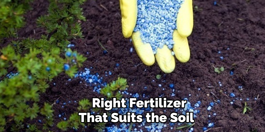  Right Fertilizer That Suits the Soil 