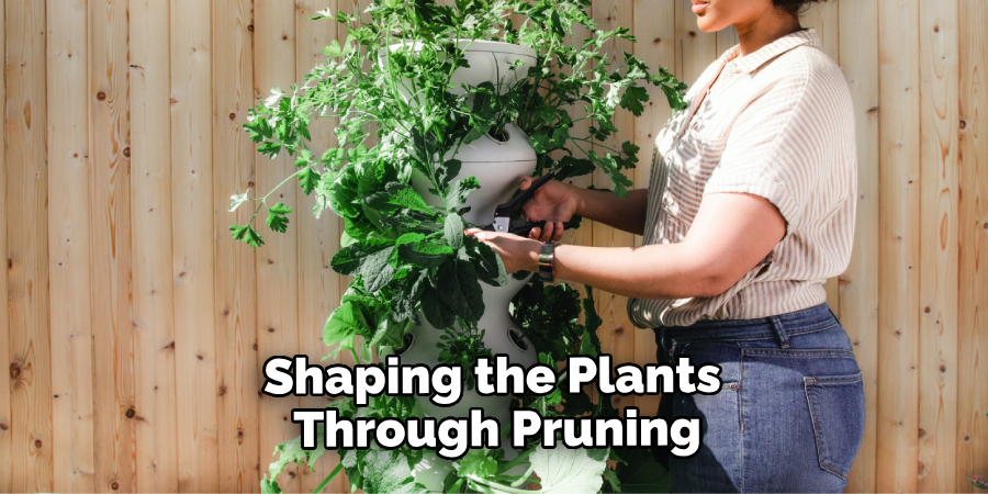 Shaping the Plants Through Pruning