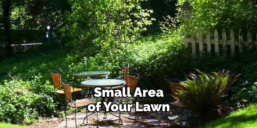 Small Area of Your Lawn