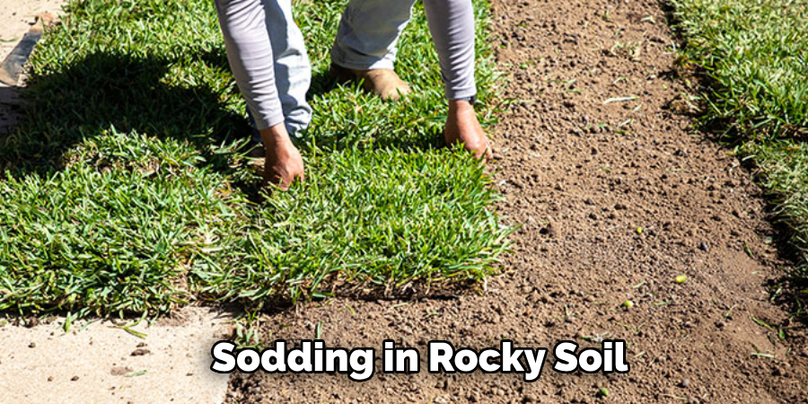 Sodding in Rocky Soil