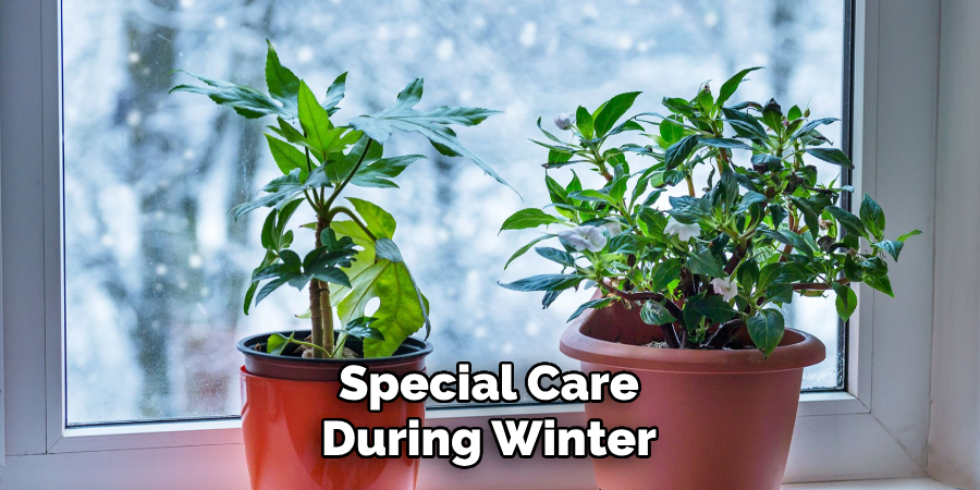 Special Care During Winter