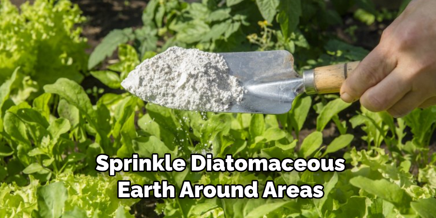  Sprinkle Diatomaceous Earth Around Areas
