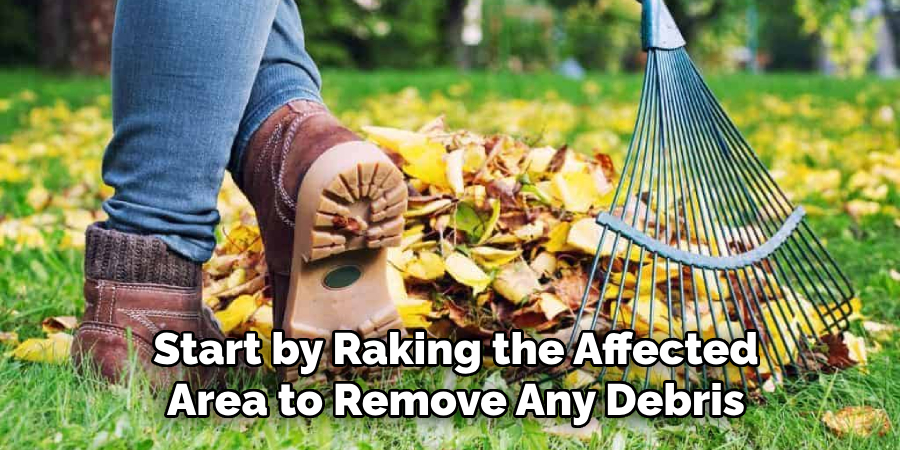 Start by Raking the Affected Area to Remove Any Debris