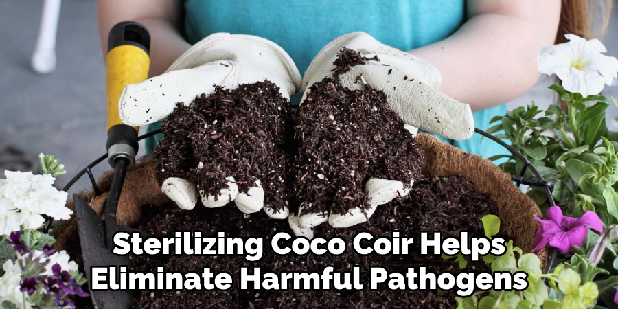 Sterilizing Coco Coir Helps Eliminate Harmful Pathogens