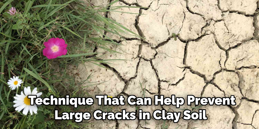  Technique That Can Help Prevent Large Cracks in Clay Soil