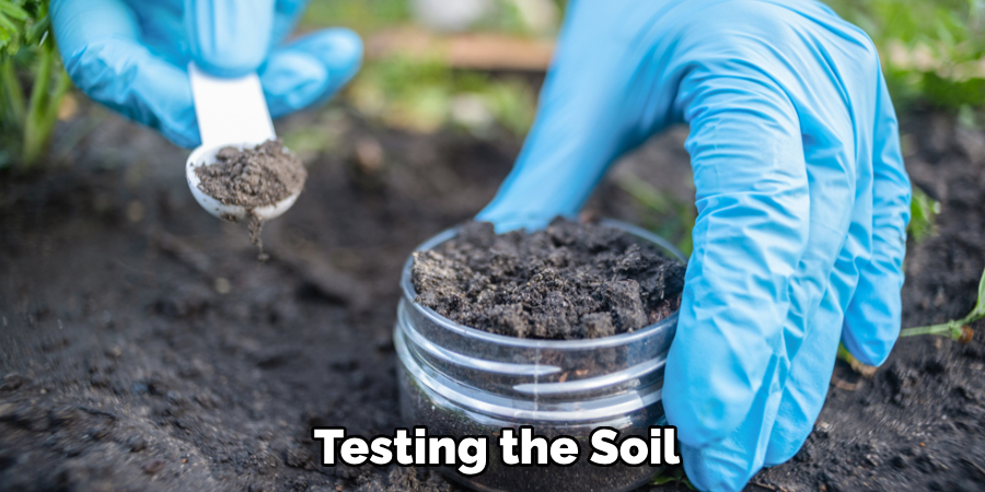 Testing the Soil