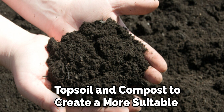  Topsoil and Compost to Create a More Suitable