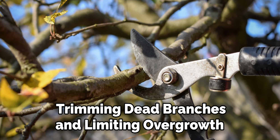  Trimming Dead Branches and Limiting Overgrowth