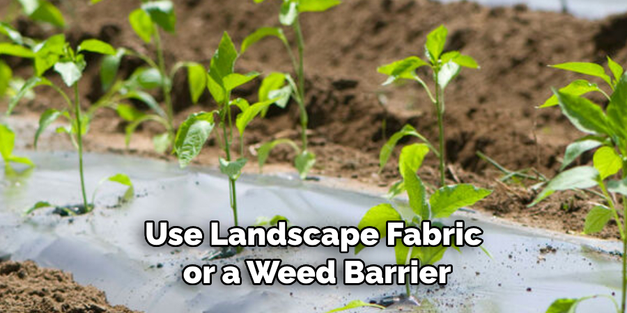 Use Landscape Fabric or a Weed Barrier