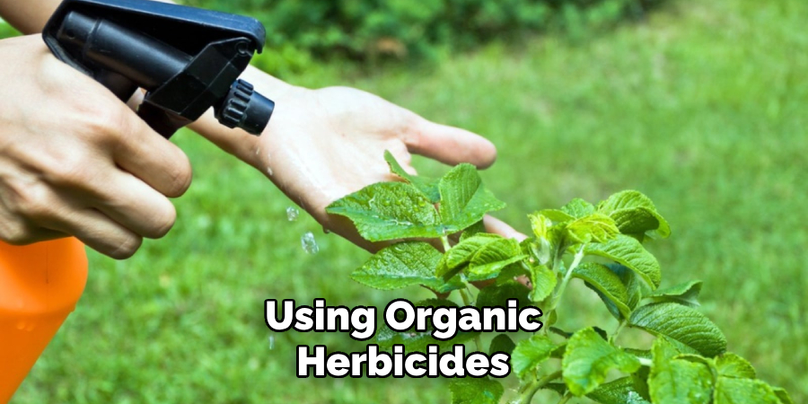 Using Organic Herbicides
