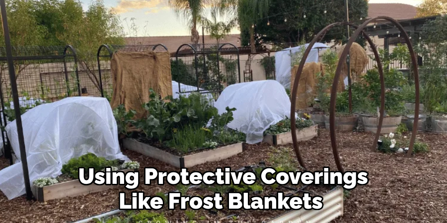 Using Protective Coverings Like Frost Blankets 