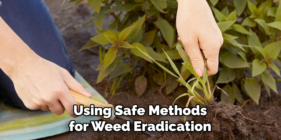 Using Safe Methods for Weed Eradication