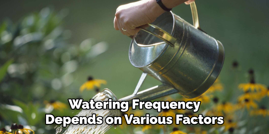 Watering Frequency Depends on Various Factors