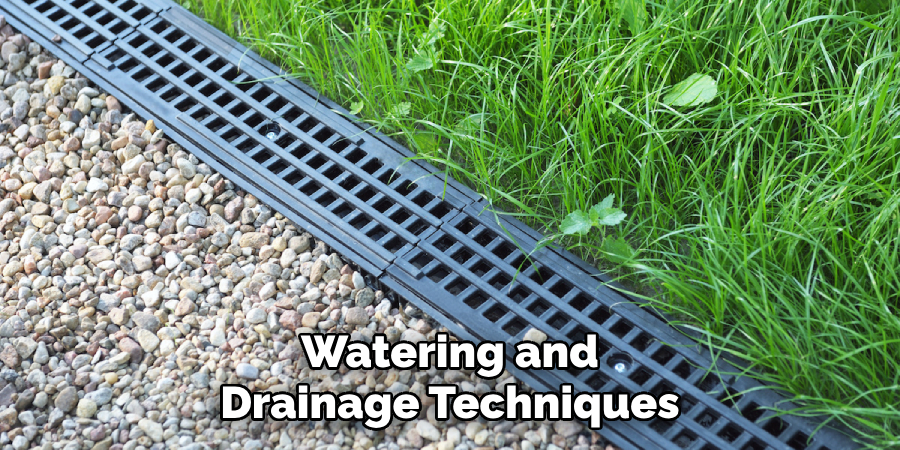 Watering and Drainage Techniques
