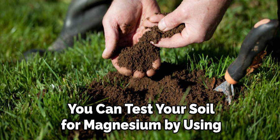 You Can Test Your Soil for Magnesium by Using