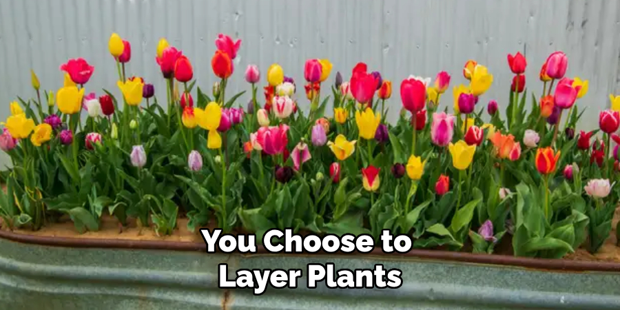 You Choose to Layer Plants