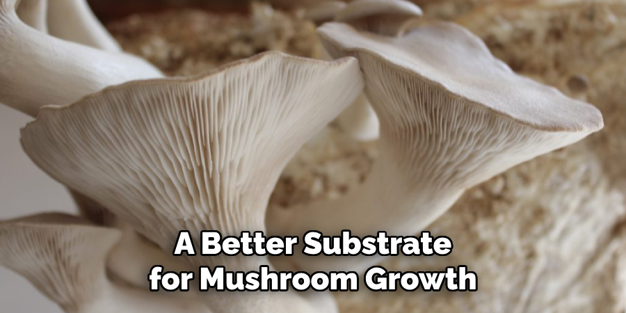 A Better Substrate for Mushroom Growth