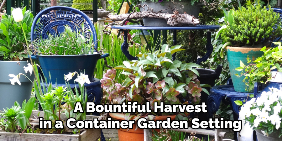 A Bountiful Harvest in a Container Garden Setting