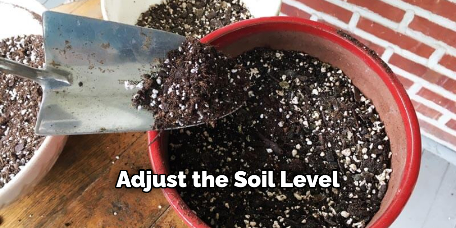Adjust the Soil Level