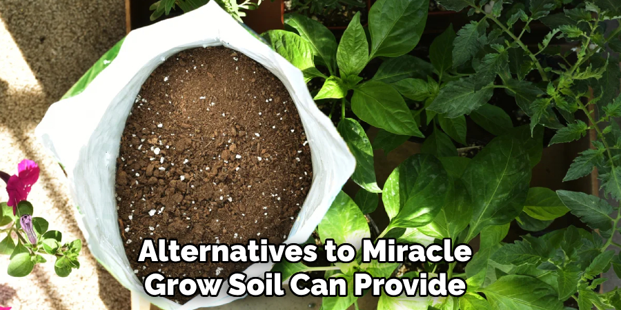 Alternatives to Miracle Grow Soil Can Provide