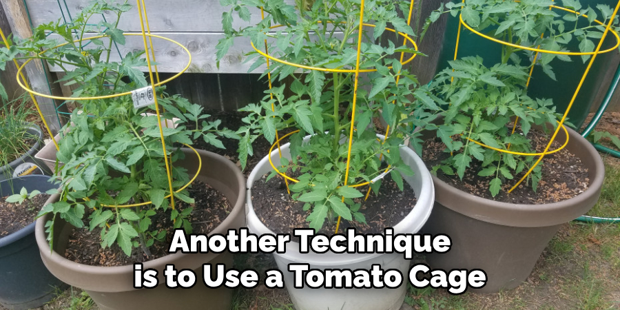 Another Technique is to Use a Tomato Cage