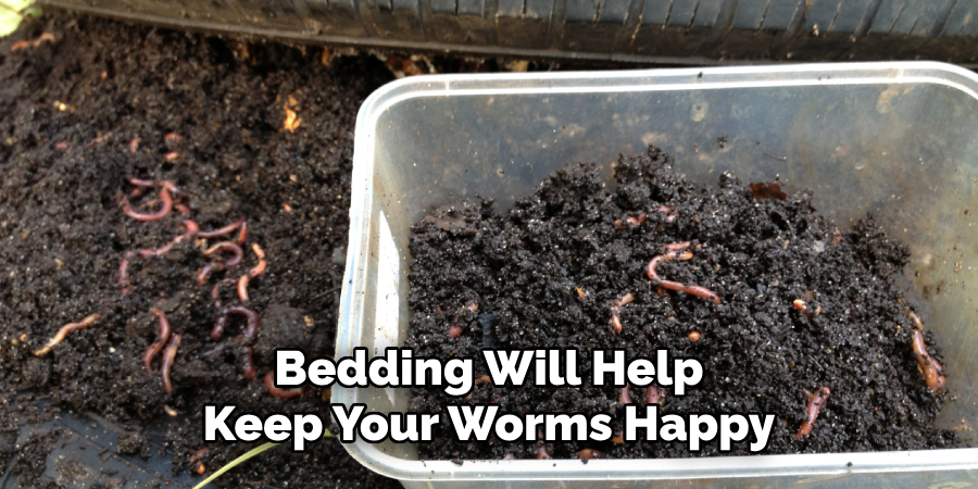 Bedding Will Help Keep Your Worms Happy