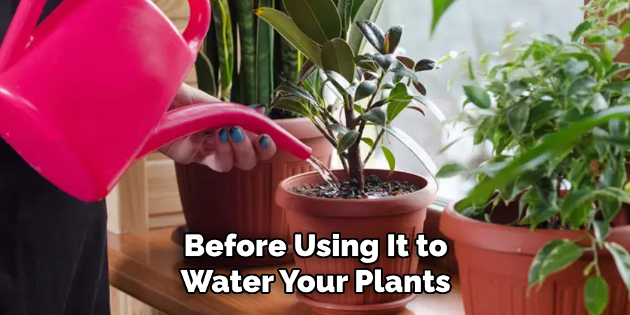 Before Using It to Water Your Plants