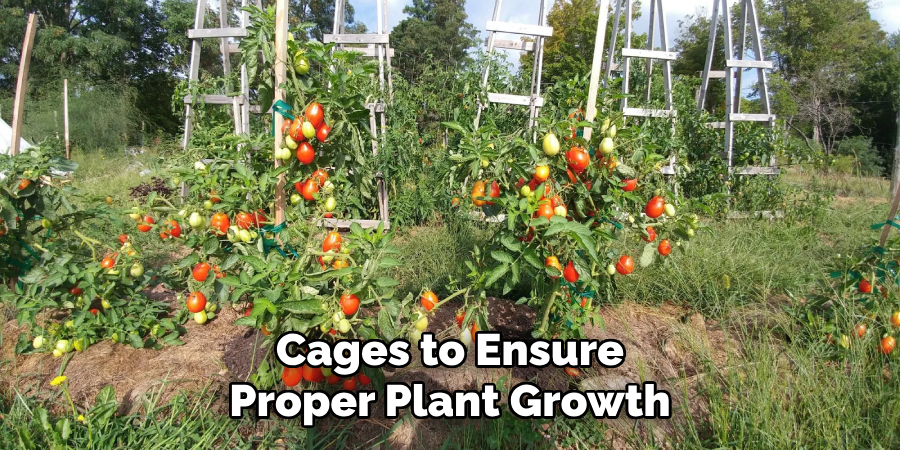 Cages to Ensure Proper Plant Growth